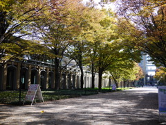 Campus Autumn