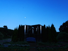 Moon over the Castle