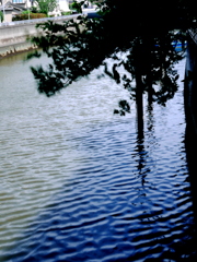 No Blue