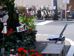 Hanaya 850