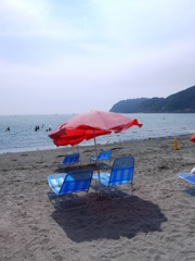 Parasol