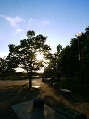 Sagamihara Park