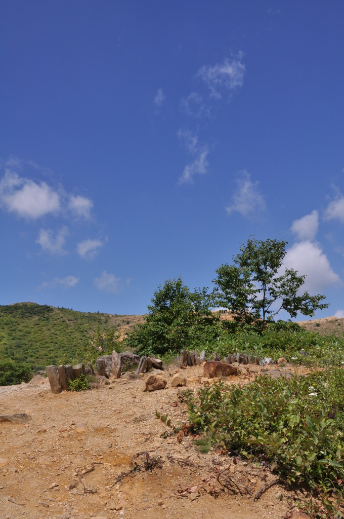 DSC_1578