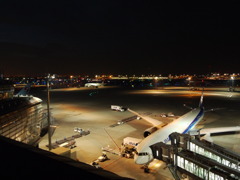 Ready to Fly