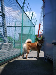 Meron's summer