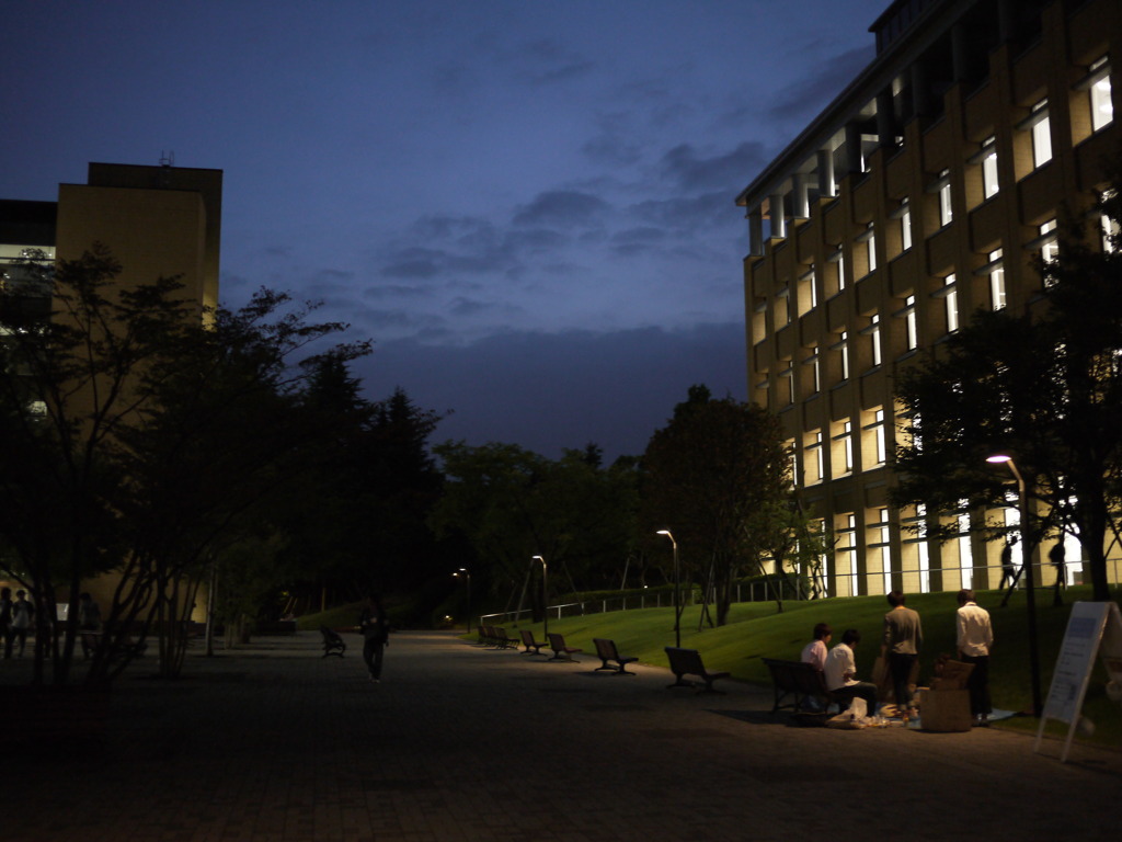 Night Campus
