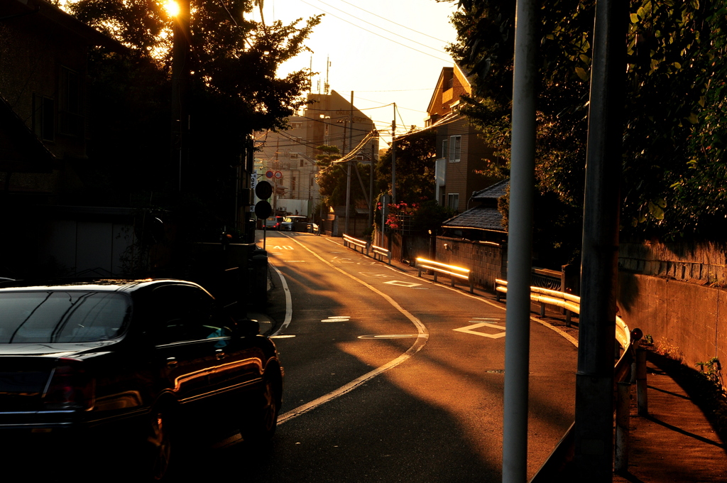 Sunny Road