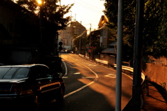 Sunny Road