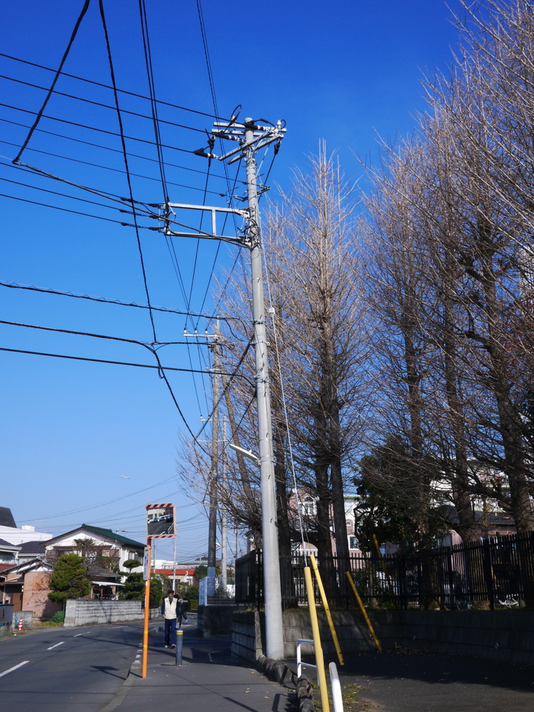 Kogarashi