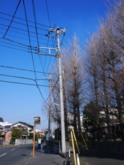 Kogarashi