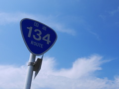 R134