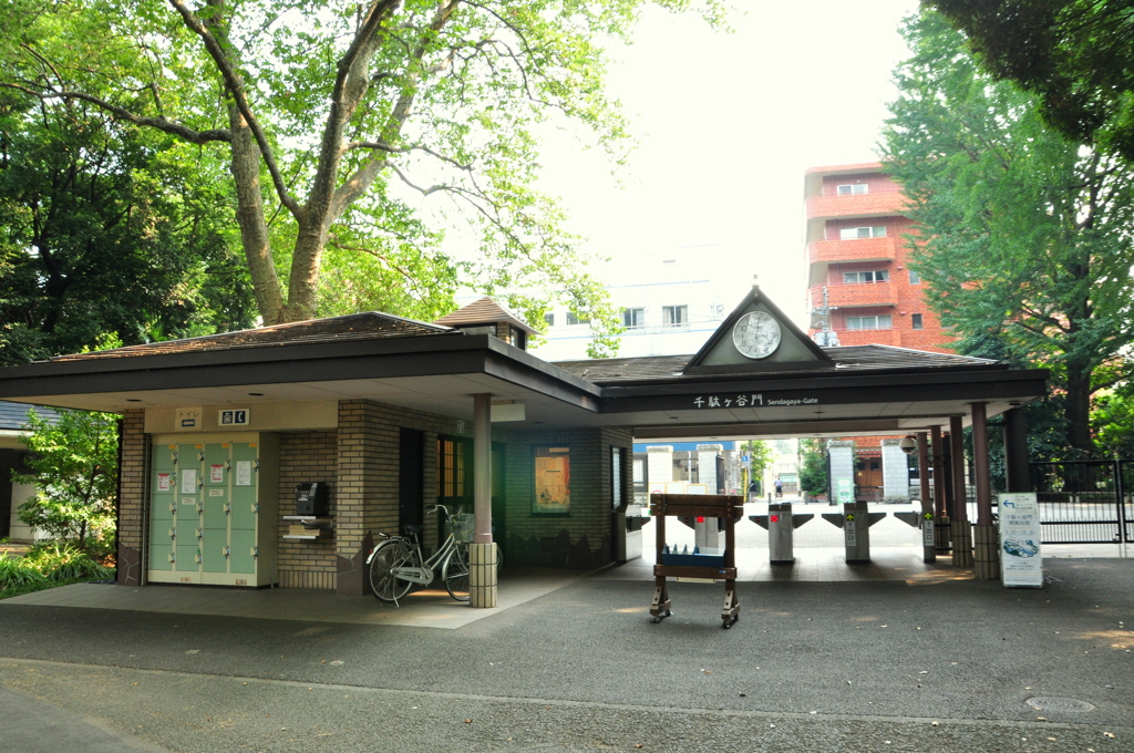 新宿御苑９