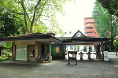 新宿御苑９