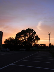 sunset1