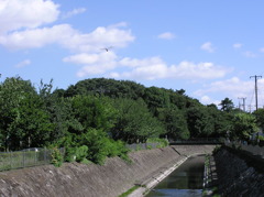 川と青空・・・トンボ・・・