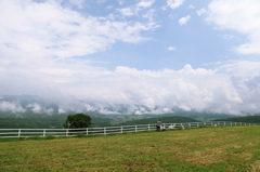 それぞれの夏の想い出
