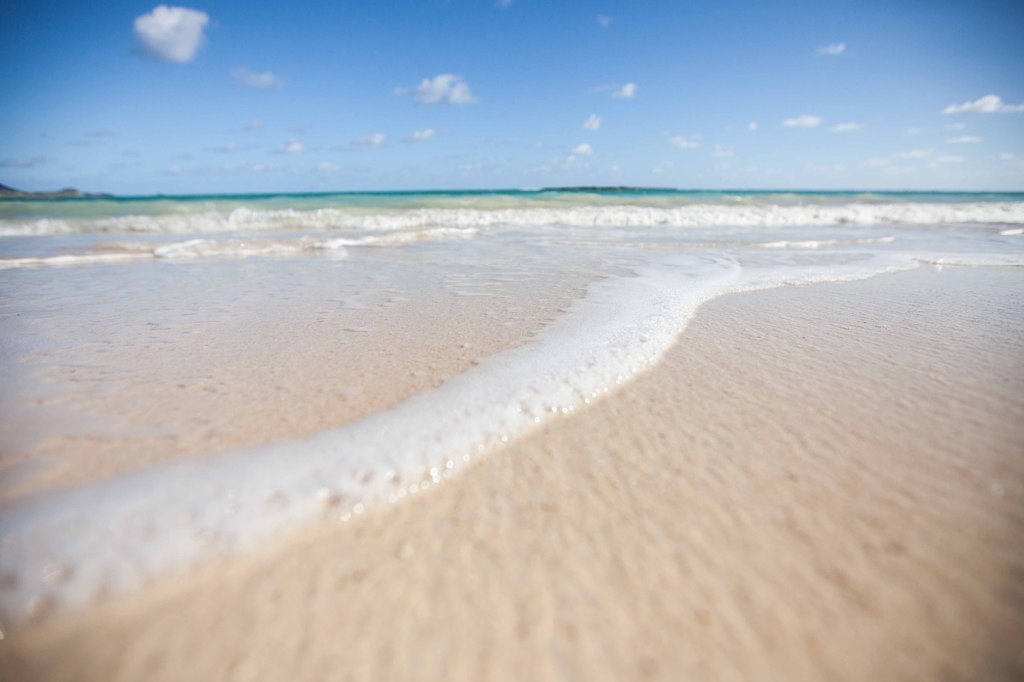 sea shore