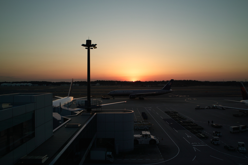 もうちょっと早かったら・・・