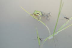 ちょっと、一息