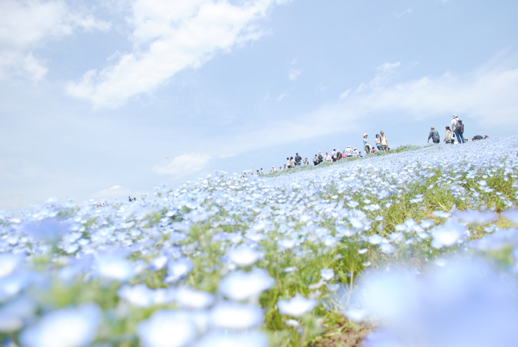 夢で見た景色