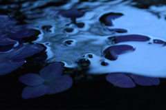 水の器