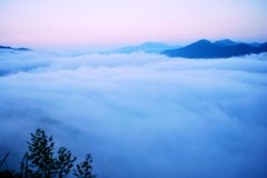 丸山棚田1