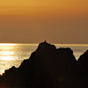 夕日を浴びて3