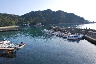 陽だまりの漁港