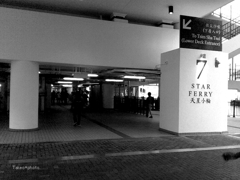 ＳＴＡＲ　ＦＥＲＲＹ