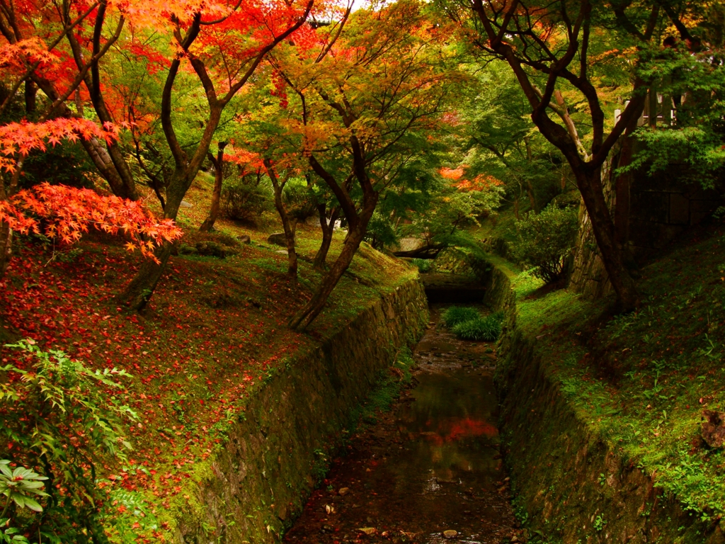 京都・紅葉