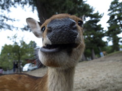 あん？