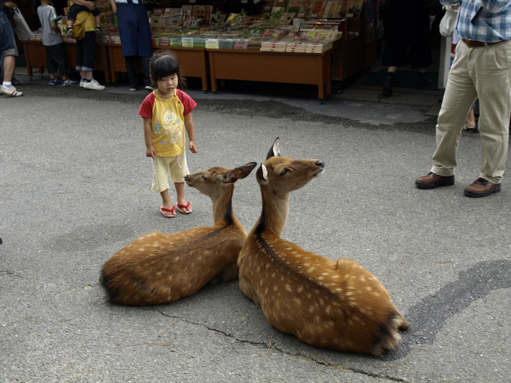しかと