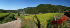 Asuka Village