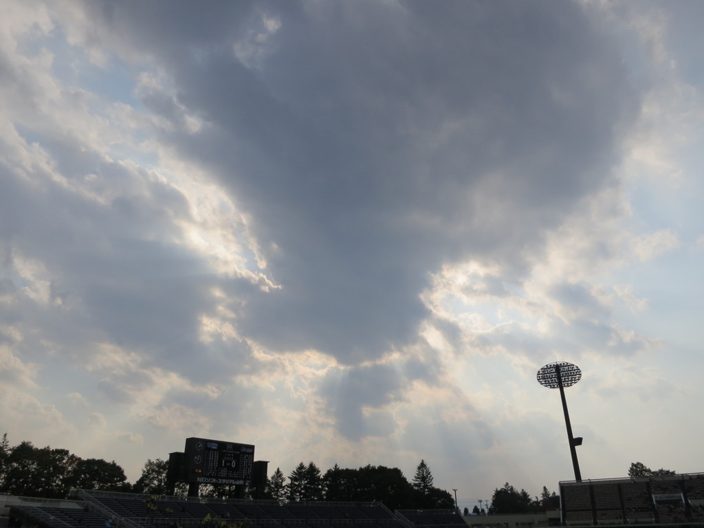 NDスタ