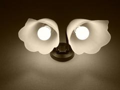 LEDじゃなくてゴメン！