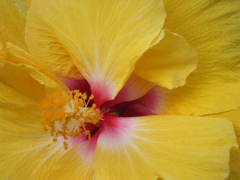 DSCF0200