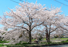 鴨川沿いのバス停にて