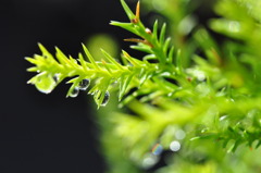 雨もいつかは必ずやむ