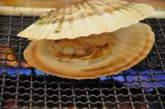 海鮮大好き