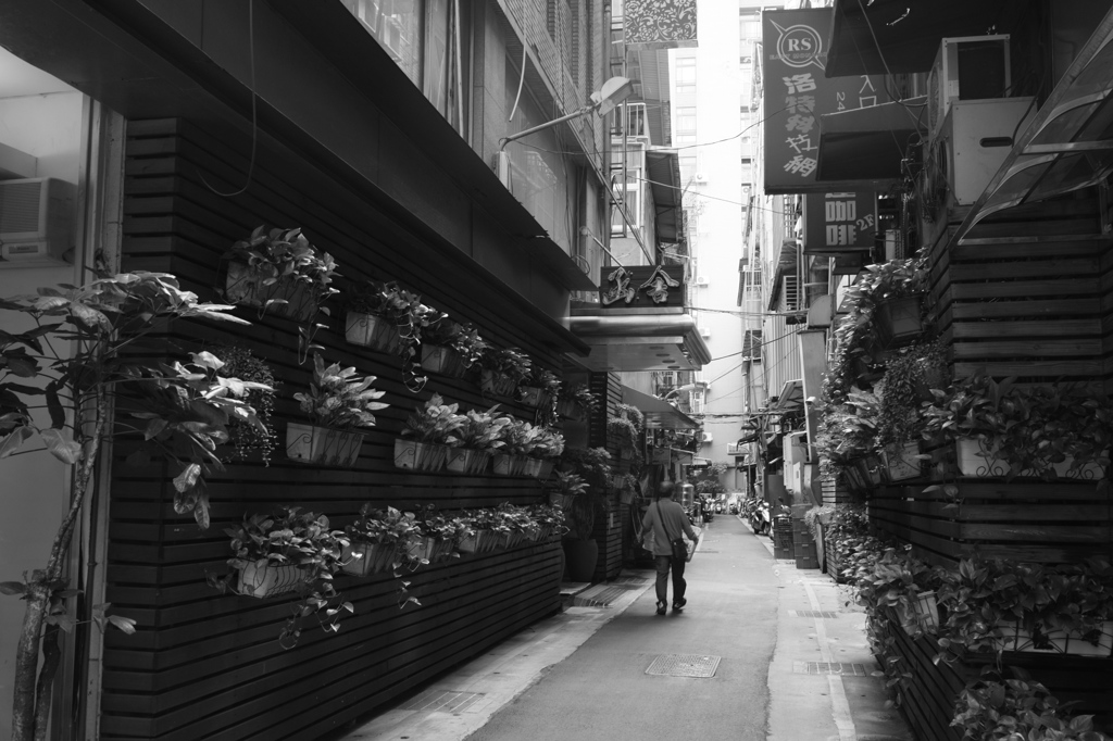 裏路地