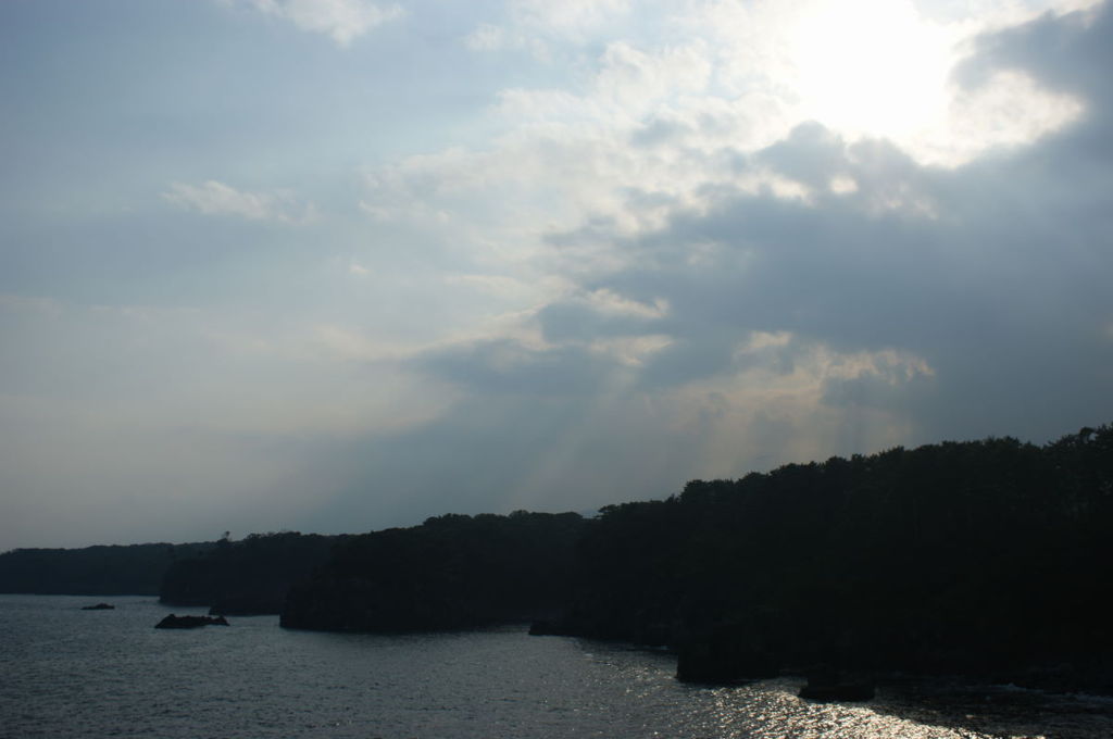 DSC09230