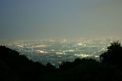 DSC08353