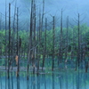 青い池（北海道）