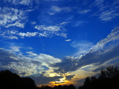 久しぶりの夕陽