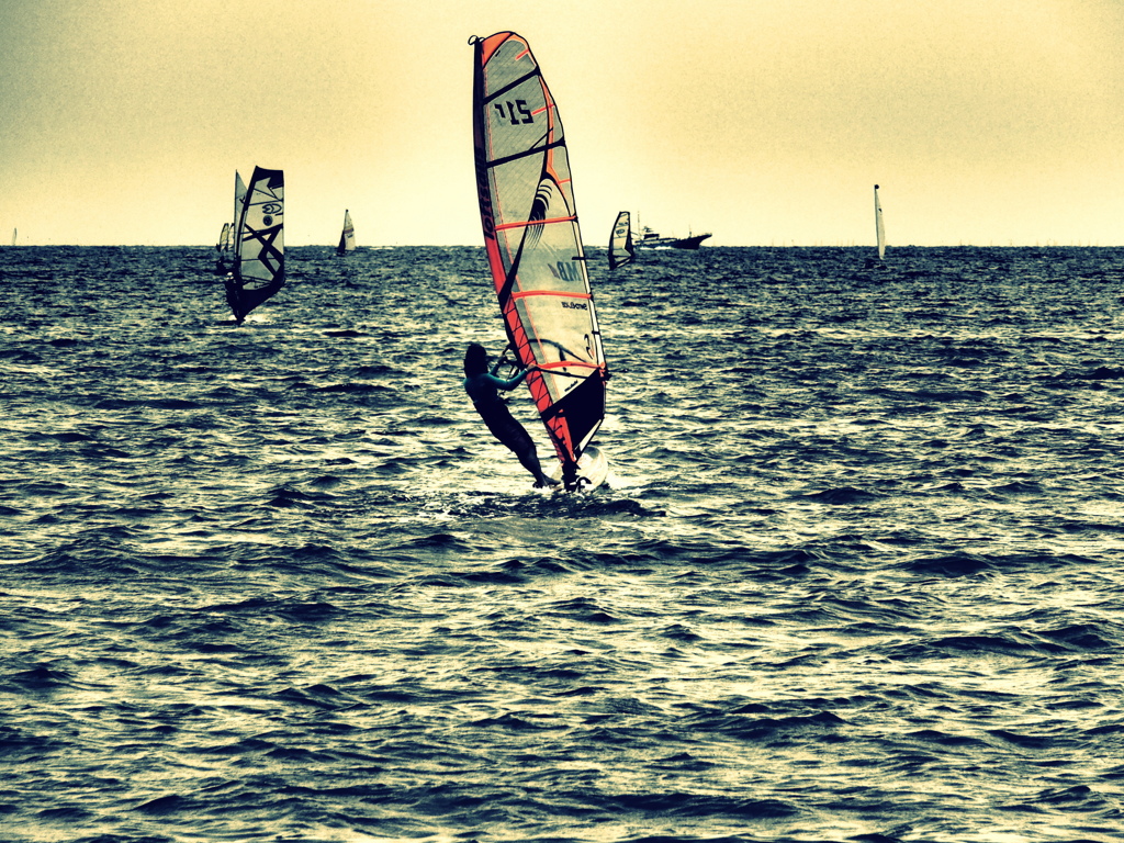 mare