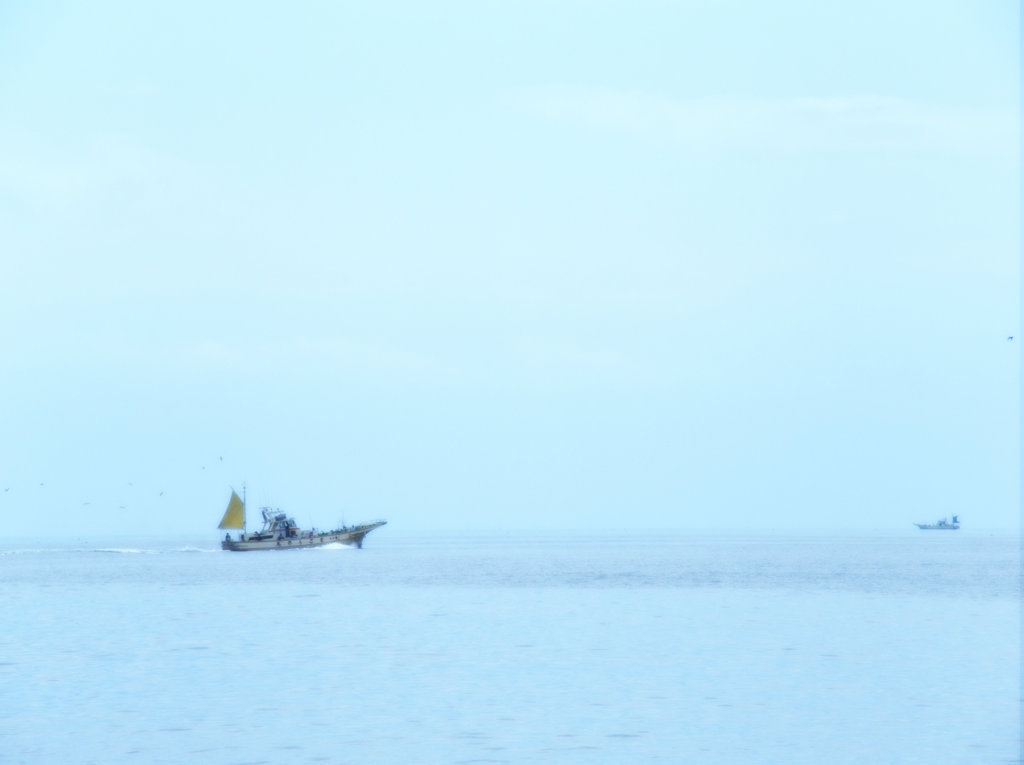 barca da pesca
