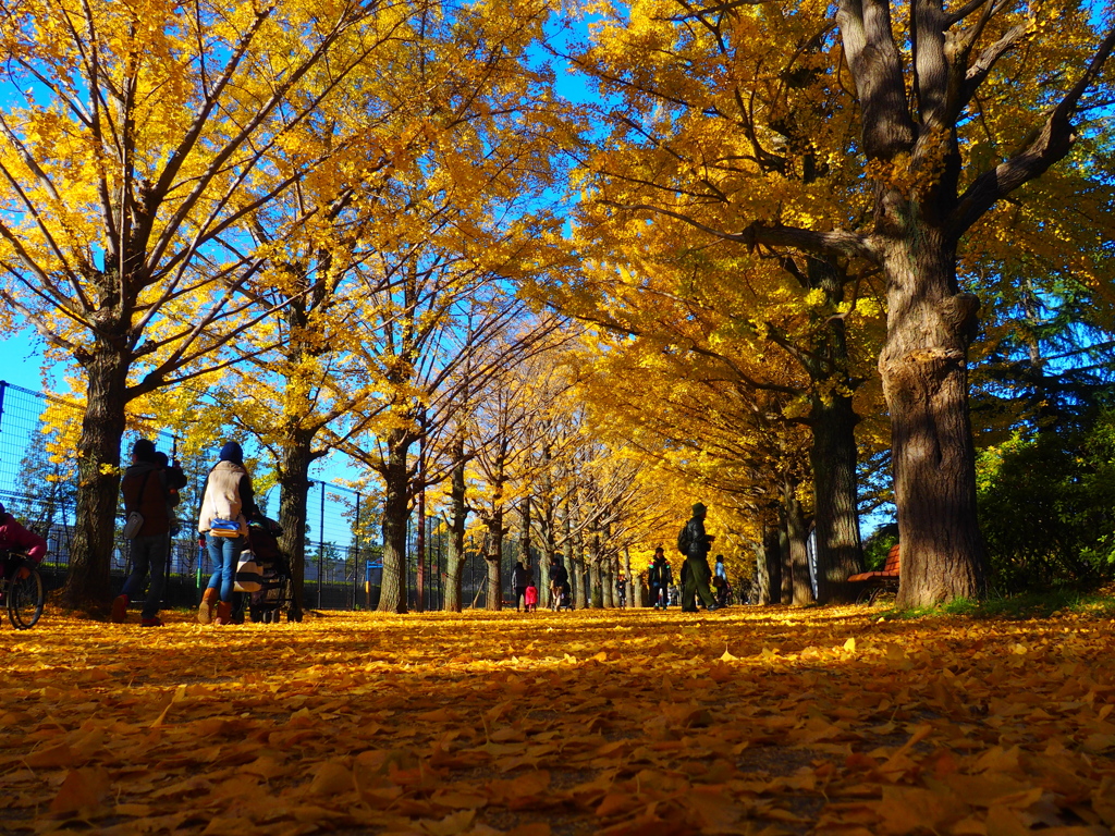 Yellow road