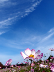 Ciel d'automne