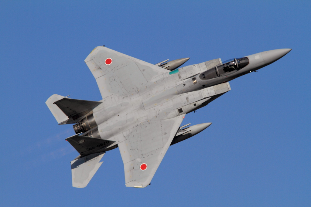 305TFS　 Ｅａｇｌｅ