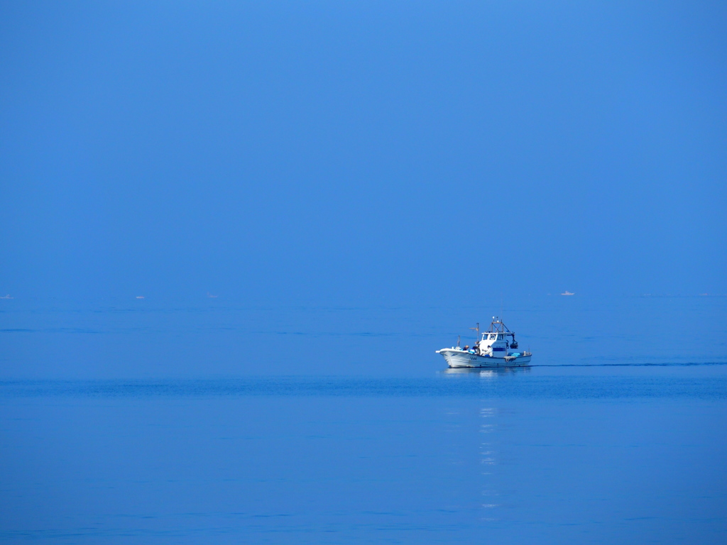 skyblue